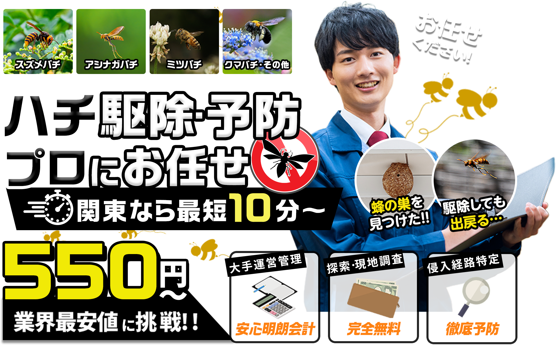ハチ駆除・予防プロにお任せ。