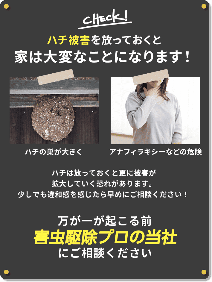 ゴキブリ被害を放っておくと家は大変なことになります！万が一が起こる前に蜂駆除レスキュー110番にご相談ください！