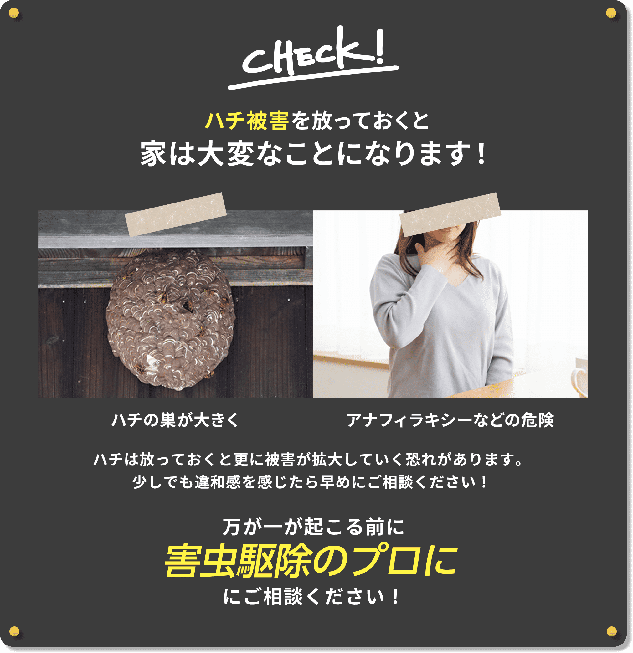 ゴキブリ被害を放っておくと家は大変なことになります！万が一が起こる前に蜂駆除レスキュー110番にご相談ください！
